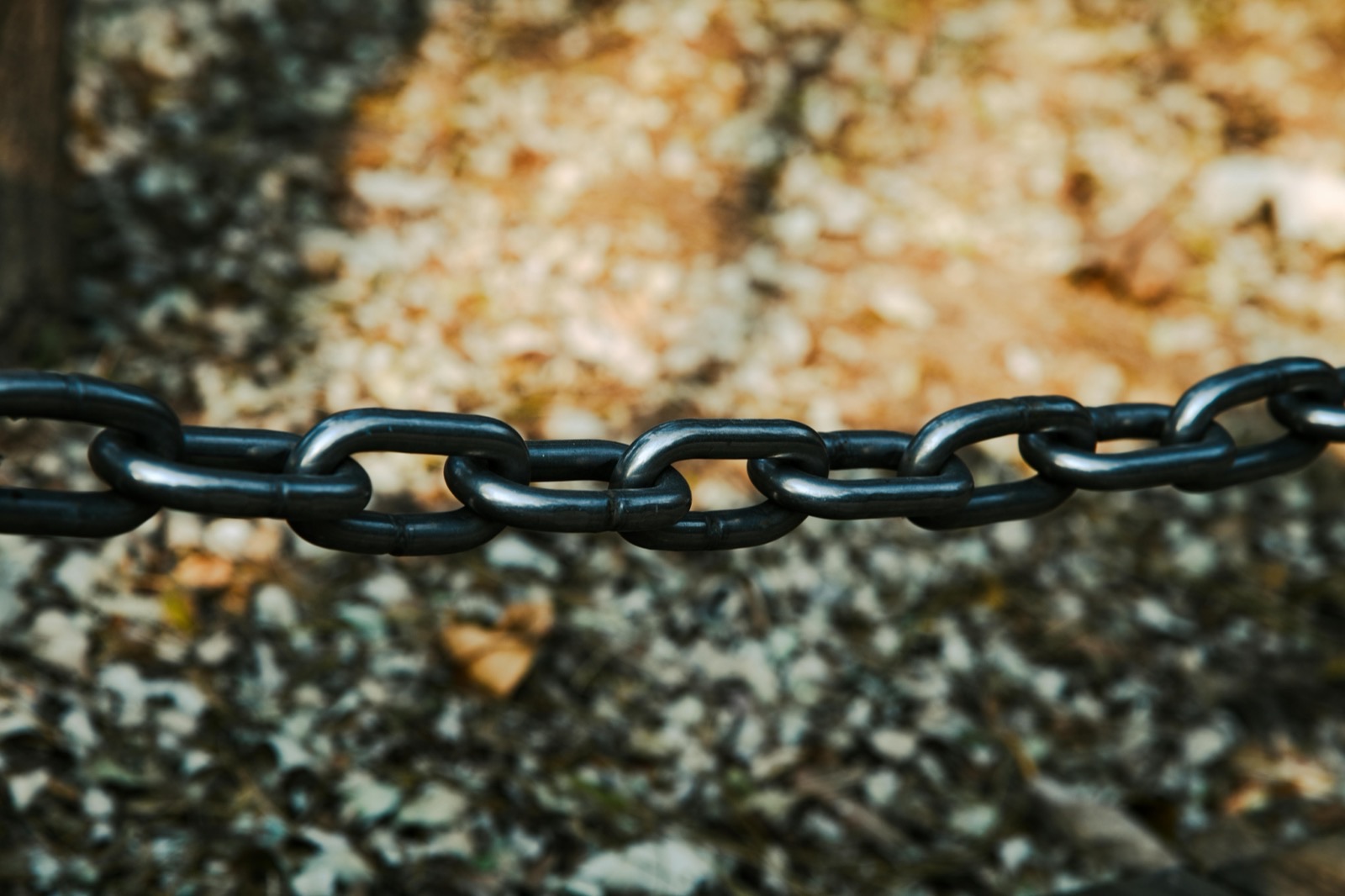 Black metal chain links in focus against a blurred background of lichen covered rocks and ground